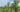 Was ist ein Agroforst?