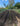 Fruehling_2025