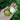 Fruehe-von-Trevoux-birne