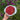 Himbeeren_Sommerernte