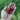 Prunus-avium