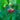 Sommer_Himbeeren_3