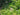 Waldgarten_Drohenfoto_2