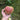 finkenwerde-herbstprinz-apfel