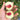 Pfirsich | Prunus persica | Sorten