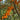 Sanddorn | Hippophae rhamnoides | Sorten